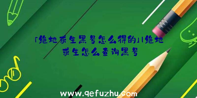 「绝地求生黑号怎么得的」|绝地求生怎么查询黑号